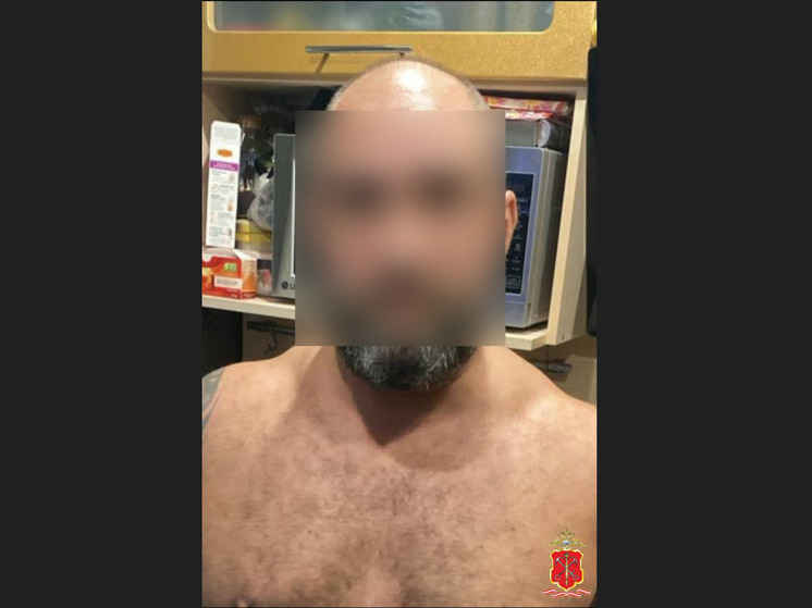 Жителя Петербурга арестовали за продажу частей винтовок через интернет