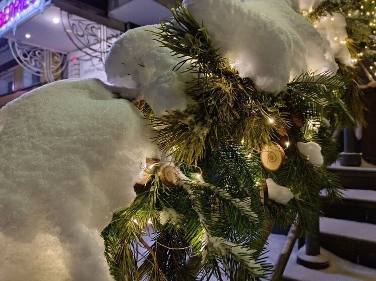 Слабые метели накроют Алтайский край в ближайшие дни