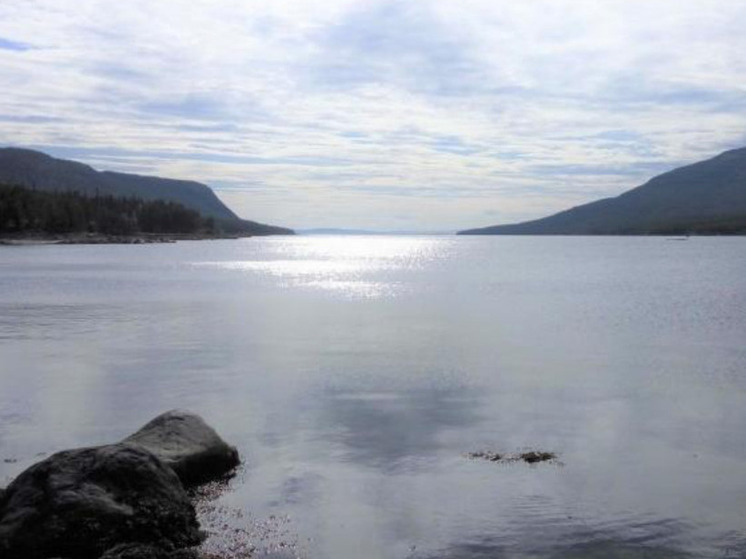 На спорном берегу Колвицкой губы в Мурманской области остановили стройку