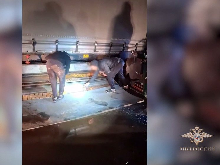 Стало известно, откуда пытались ввезти гашиш в Россию