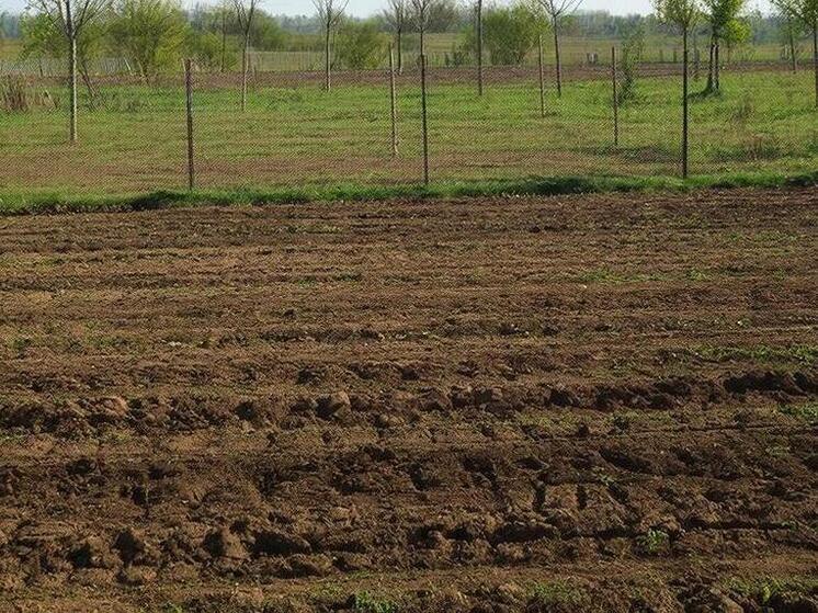 Жителю Анивы грозит продажа земли за долг по алиментам в 2 миллиона рублей