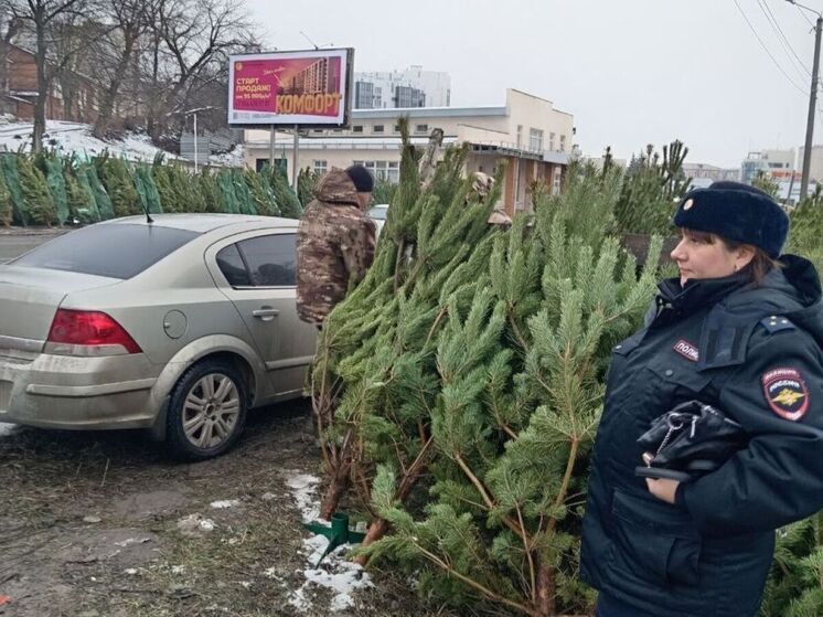 В Курске сотрудники мэрии и полиции прошерстили елочные базары
