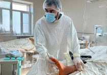 Не все россияне встретят Новый год в семейном кругу возле елки