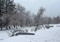 Какой сегодня день по народному календарю

24 декабря православная церковь чтит память преподобного Никона Печерского, монаха Киево-Печерской лавры, жившего в XI веке