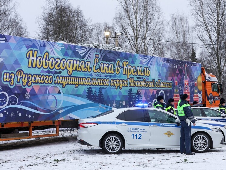 В Кремле украсили главную новогоднюю елку России