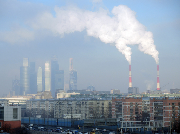 Эко-привычки, которые не требуют усилий