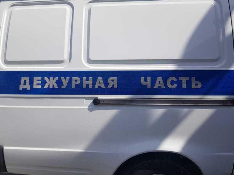 МВД: в Новороссийске пресекли торговлю новогодними деревьями