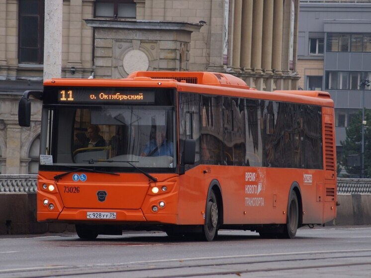 Калининградцы оклеветали оранжевые автобусы