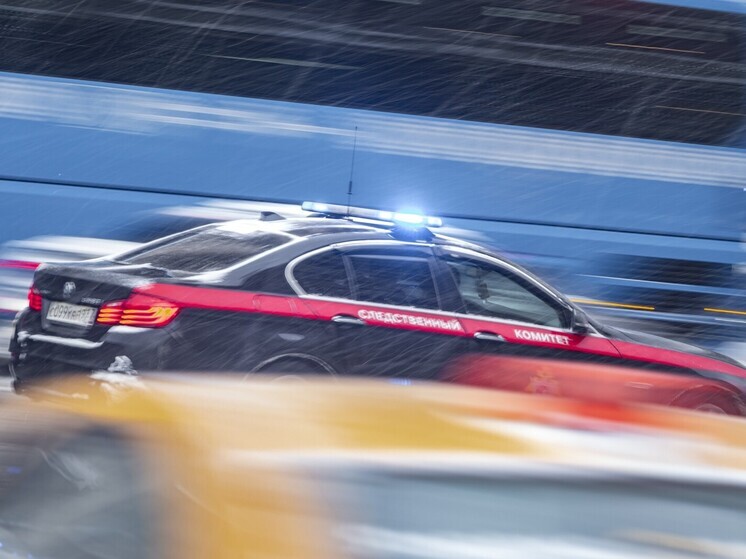 В Сочи подросток убил свою мать и пытался убить брата