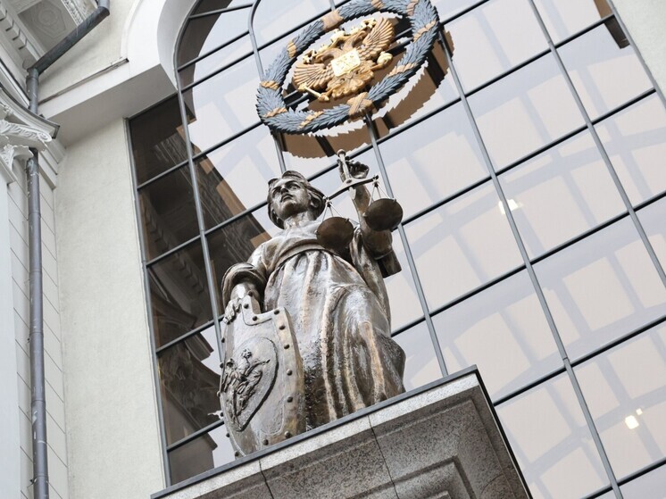 Верховный суд разъяснил границу между экстремизмом и допустимой критикой властей