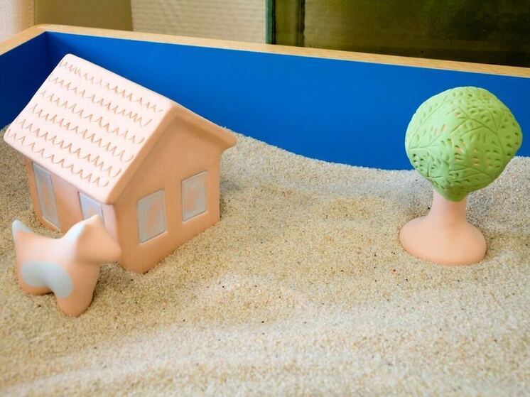 Суд приостановил деятельность челябинской игровой комнаты-фотостудии