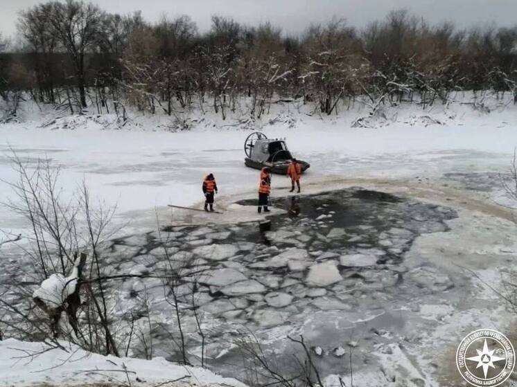 Владелец утонувших овец из Башкирии потерял 20 млн рублей