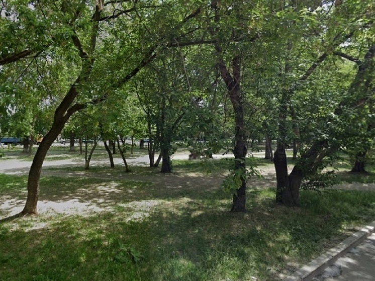 В Екатеринбурге в следующем году приведут в порядок сквер Бориса Рыжего