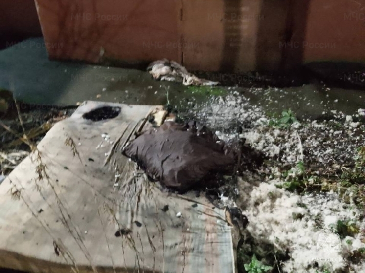 В Орле на пожаре спасли мужчину