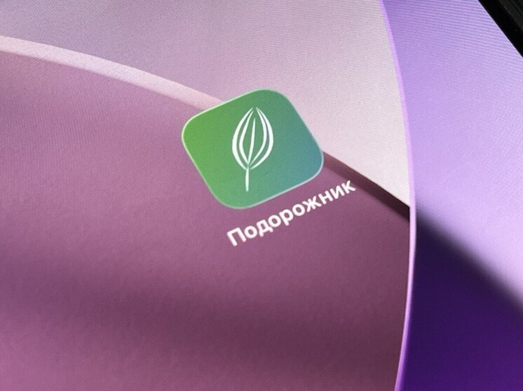 Число пользователей виртуального «Подорожника» превысило 500 тыс. в Петербурге