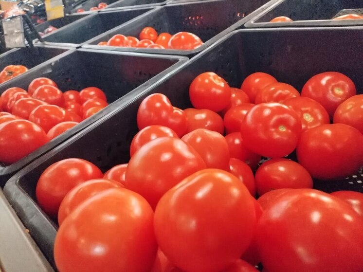 В Новгородской области подорожали огурцы и помидоры