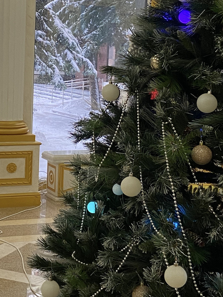 Праздничный гардероб для Мелитопольской школы искусств: Депутат Беспалый подарил детям новогодние костюмы