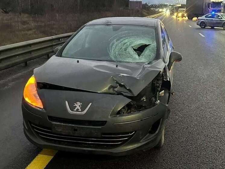 Смертельное ДТП на трассе М-4 под Воронежем: пешеход погиб при переходе в неположенном месте