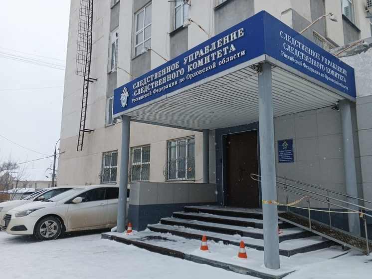 В Орле в отношении директора организации возбудили дело в связи с задолженностью перед работниками