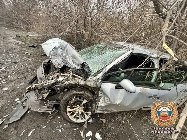 На Дону произошло серьёзное ДТП с двумя пострадавшими