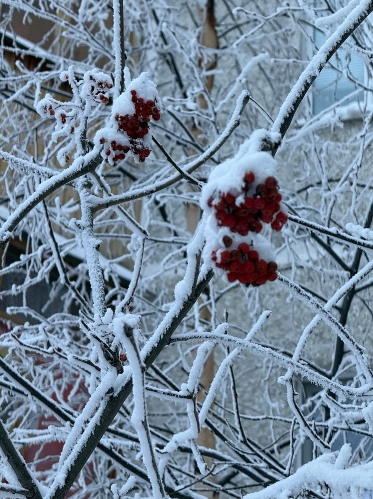 В Тюменской области ожидается резкое похолодание