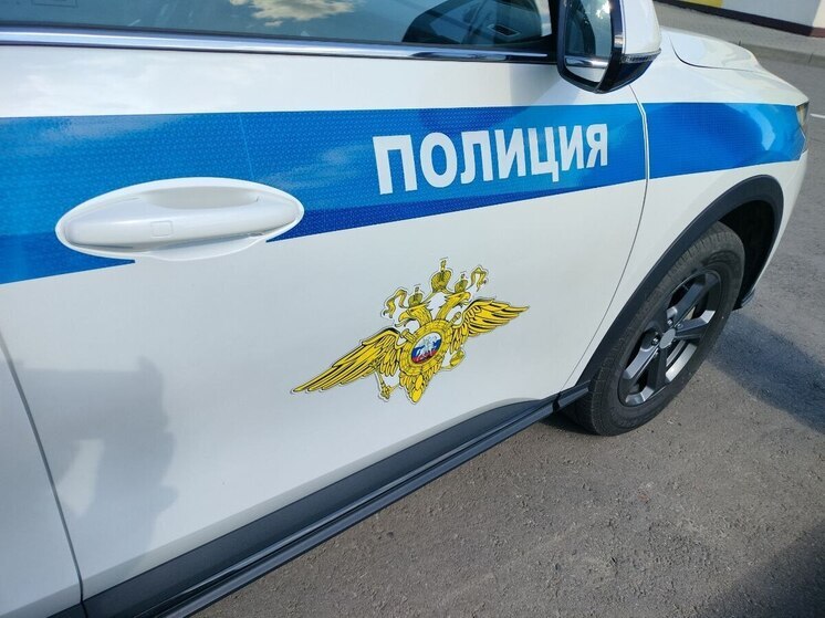 Более 500 правоохранителей будут следить за порядком в праздники в Пензенской области
