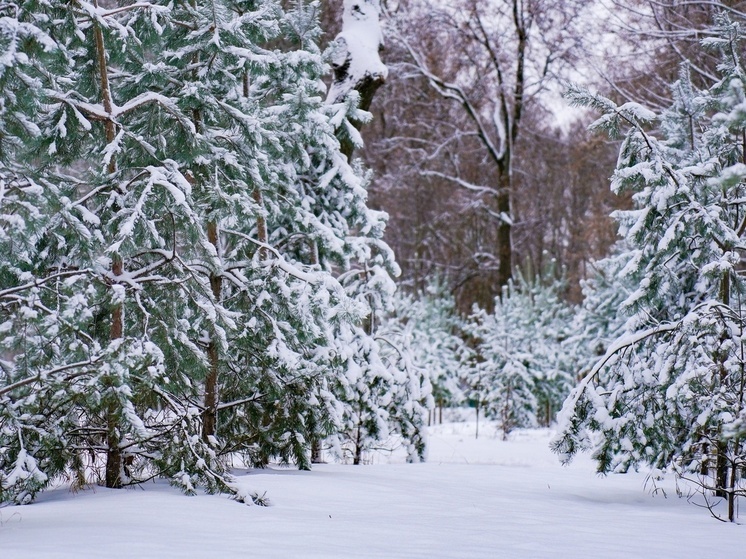  Врач предупредила туляков об опасности ныряния в снег после бани