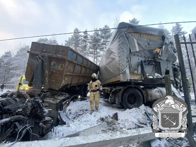 В Энколово столкнулись два грузовика и легковушка: пострадали два водителя