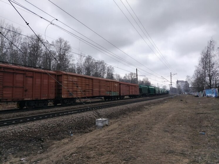 В Новгородской области в ноябре выросла погрузка на железной дороге