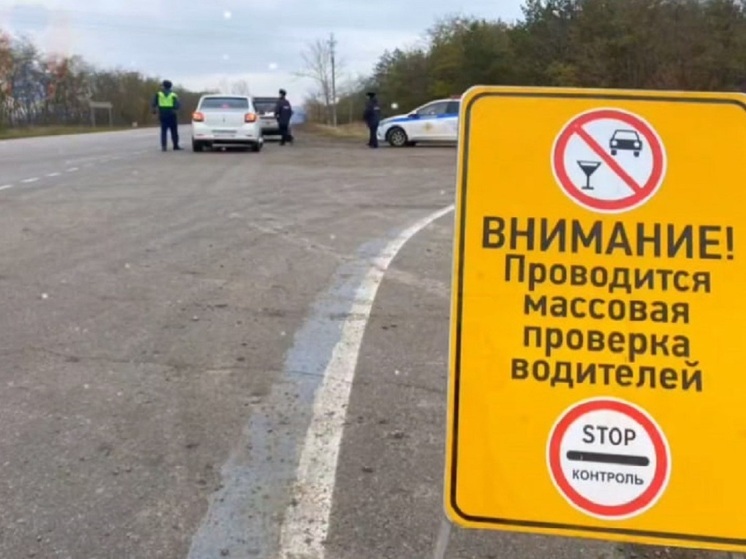 На дорогах Воронежской области проходит масштабная операция «Стоп! Контроль!»