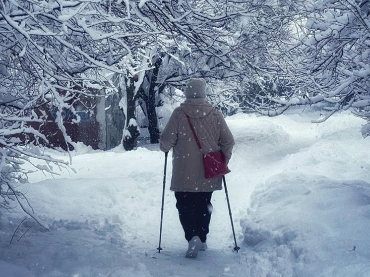 Сугробы в горах Сочи достигли 62 сантиметров