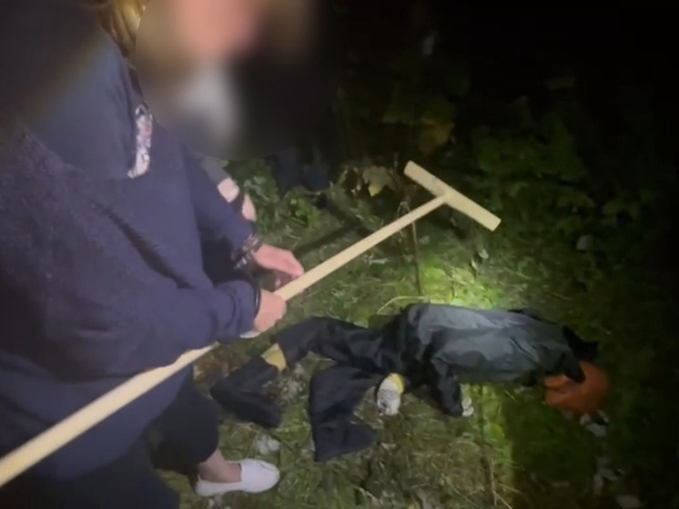 Жительницу Гатчины будут судить за убийство знакомого лопатой и вилами