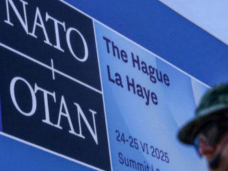 Депутат ЕП Шуленбург: Украине и НАТО нужно понять, что они проиграли войну