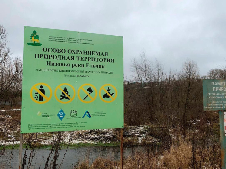 Липецкие пушистики благоустраивают берега реки Ельчик