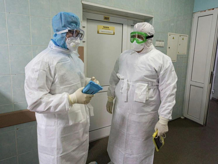 В двух населённых пунктах Новосибирской области объявили карантин из-за бешенства