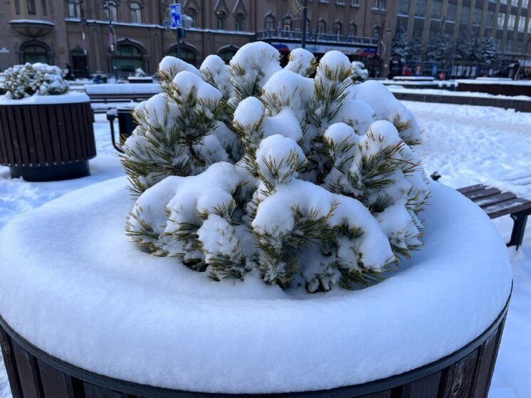 В Саратове ввели режим повышенной готовности из-за 25-градусных морозов