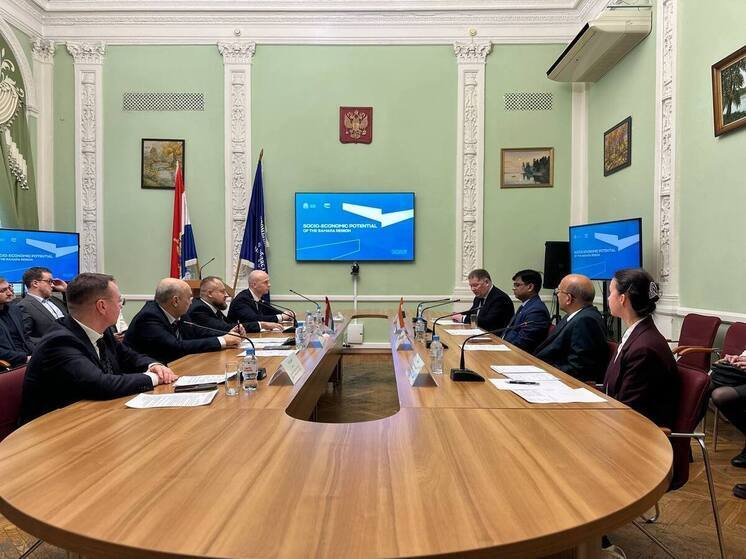 Инвесторы из Индии ознакомились с потенциалом Самарской области