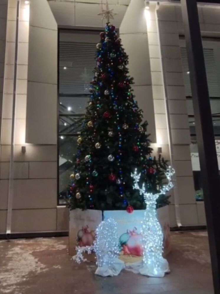 Костромской креатив — новогодняя ёлка на жд/вокзале переместилась из зала ожидания на перрон