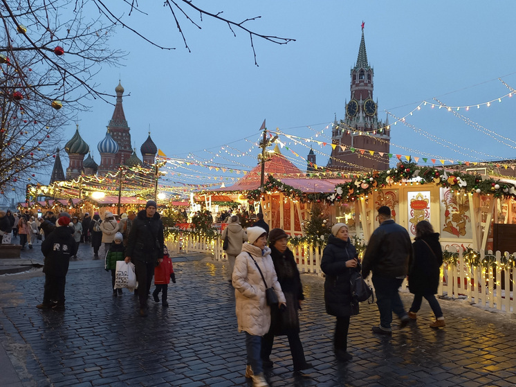 Метеоролог Позднякова: 31 декабря москвичей ждет мороз до -15 градусов