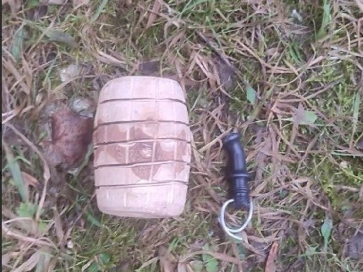 Росгвардия обнаружила муляж гранаты в Кохме