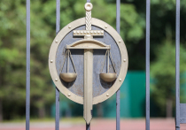 Первое судебное решение по делу о «склонении к аборту» вынесено в России