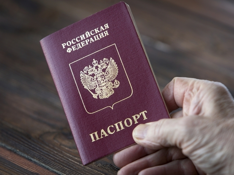 Главред «Важных историй»* Роман Анин* лишен российского гражданства