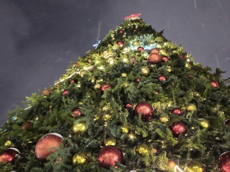 Новосибирский Роспотребнадзор опроверг слухи о клещах на новогодних ёлках