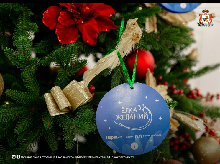Члены Правительства Смоленской области присоединились к акции «Ёлка желаний»