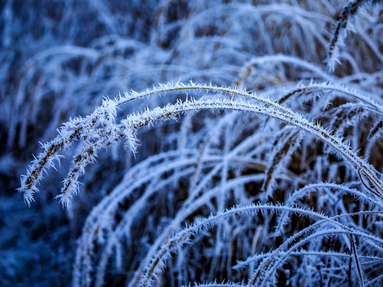 24 декабря в Брянской области температура воздуха опустится до -16 градусов