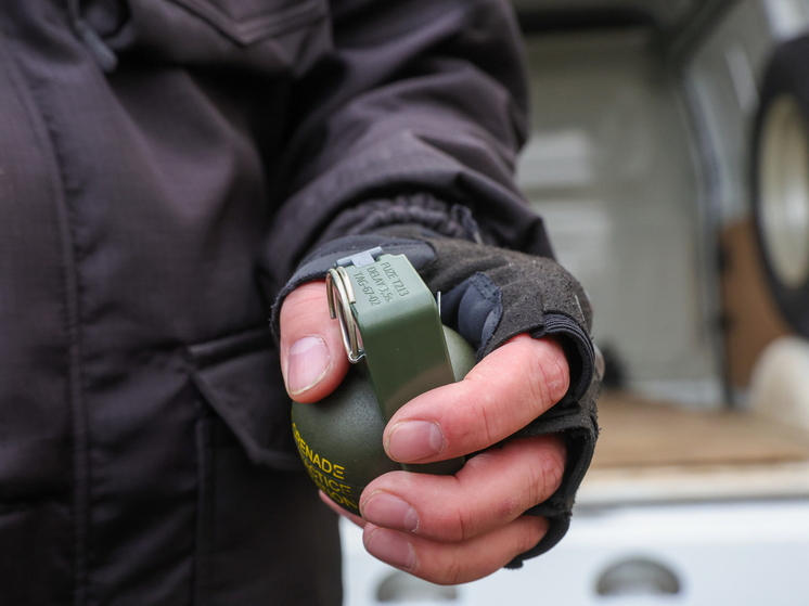 Суд в Курске приговорил к 19 годам колонии мужчину, бросившего гранату в военных