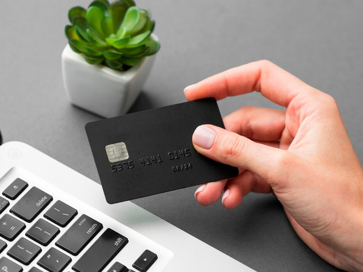 В Липецке пресечена незаконная деятельность компании с «микрофинансовым» названием