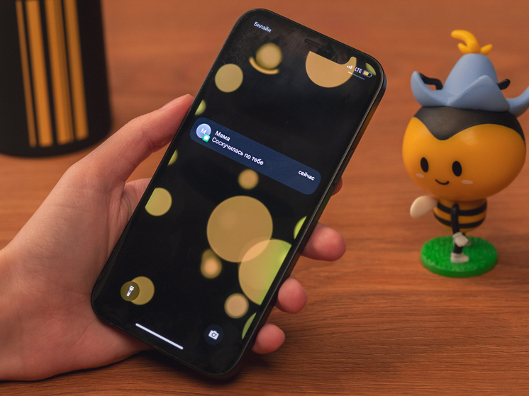 Билайн ознакомил пенсионеров Рязанской области с правилами защиты от киберугроз