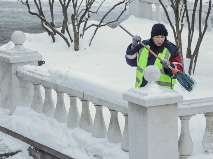 Россиянам объяснили, что 24 декабря в Никонов день нельзя выносить мусор