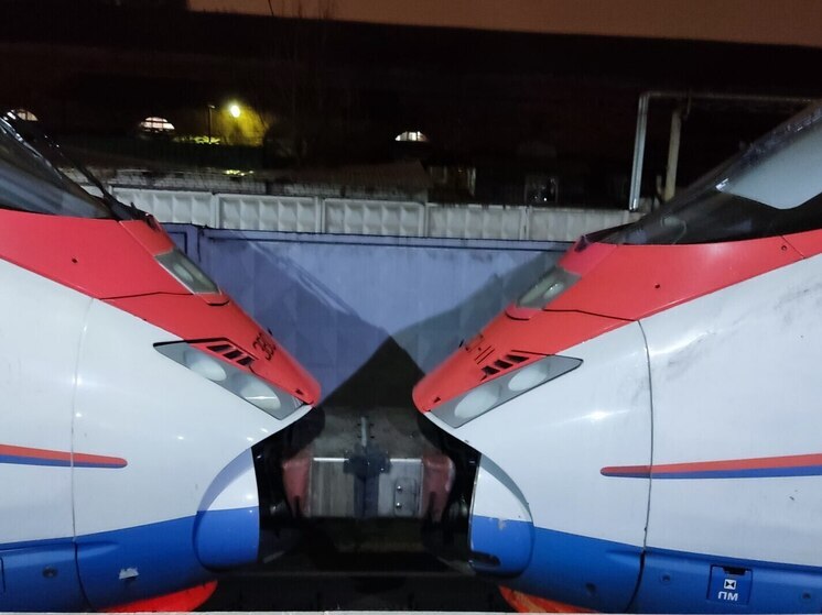 Дополнительные «Сапсаны» между столицами продлили на все новогодние праздники